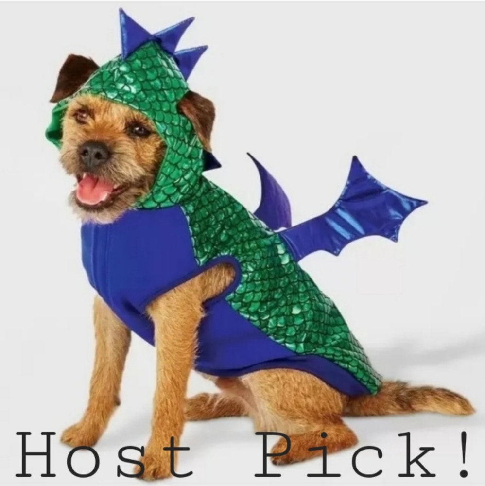 NWT Hyde & Eek! Boutique Pet Dragon Costume Dog Halloween Cute New